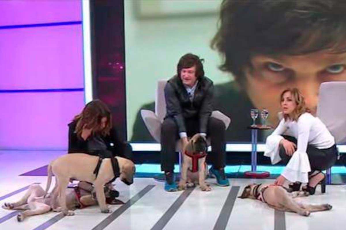 ¿Sabía usted que Javier Milei clonó a su primer perro? Esta es la historia