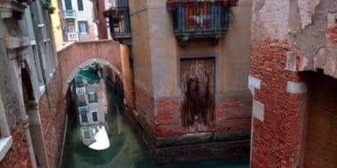Las aguas de Venecia se están limpiando y hasta llegan peces