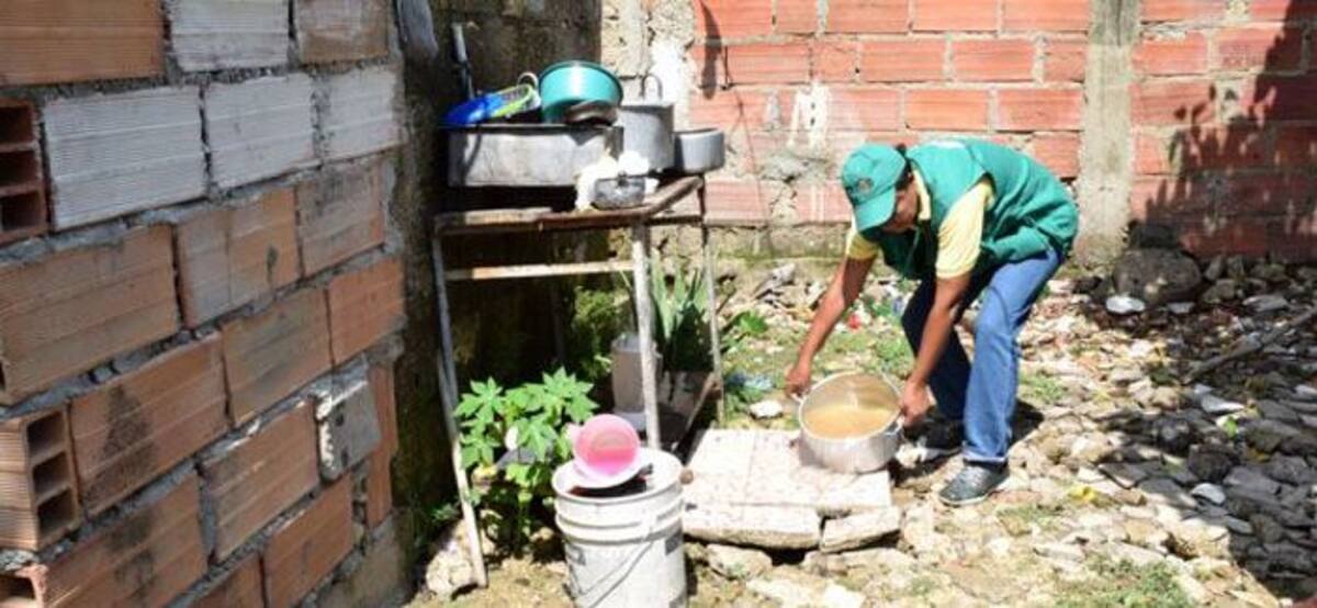 El Dadis busca que las comunidades continúen con la tarea de la destrucción de los criaderos del mosquito aedes aegypty, uno de los vectores que también transmite el dengue y el chikungunya. Cortesía.