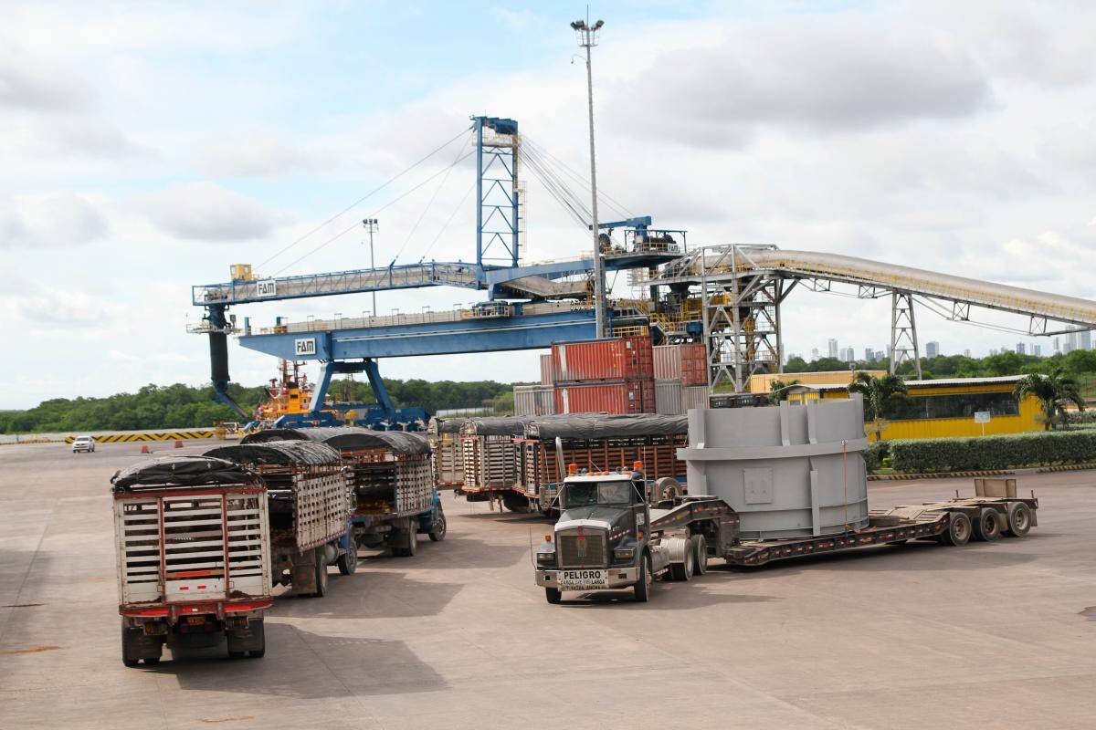 Conozca las exigencias del ICA para las exportaciones de ganado en pie