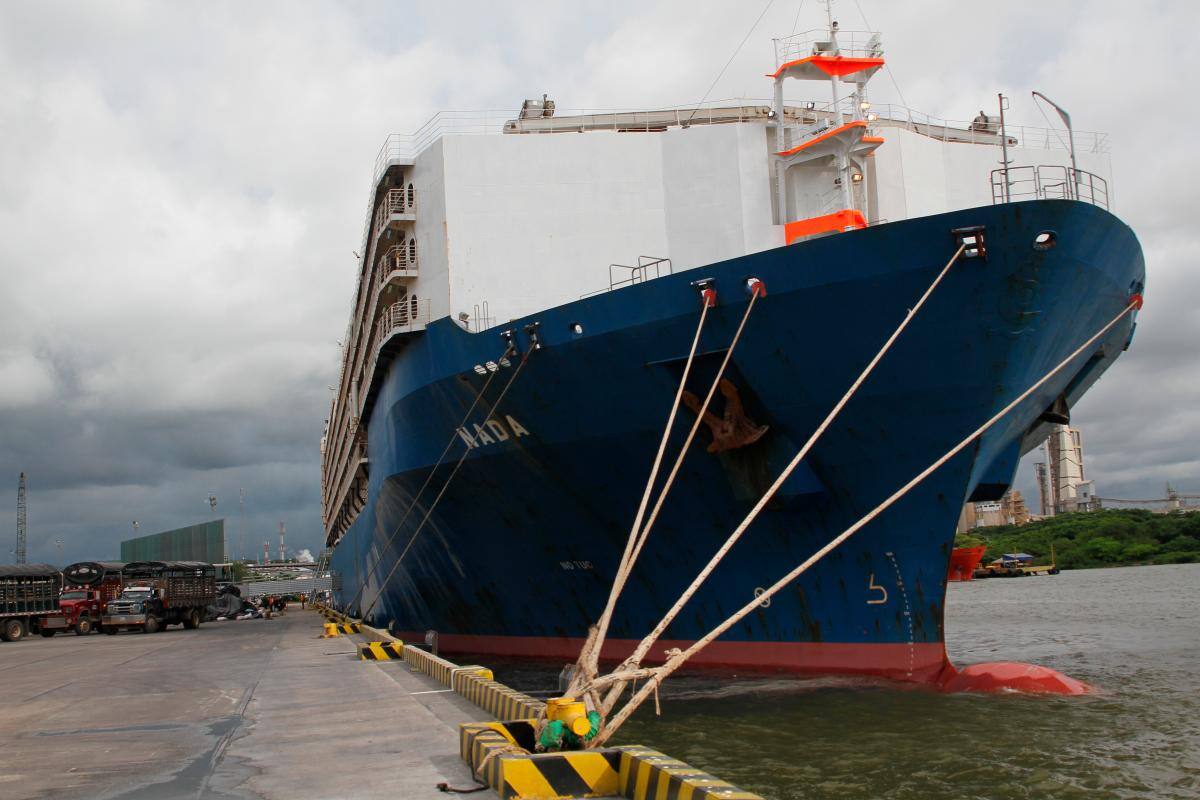 Oriente Medio se llena de ganado en pie colombiano