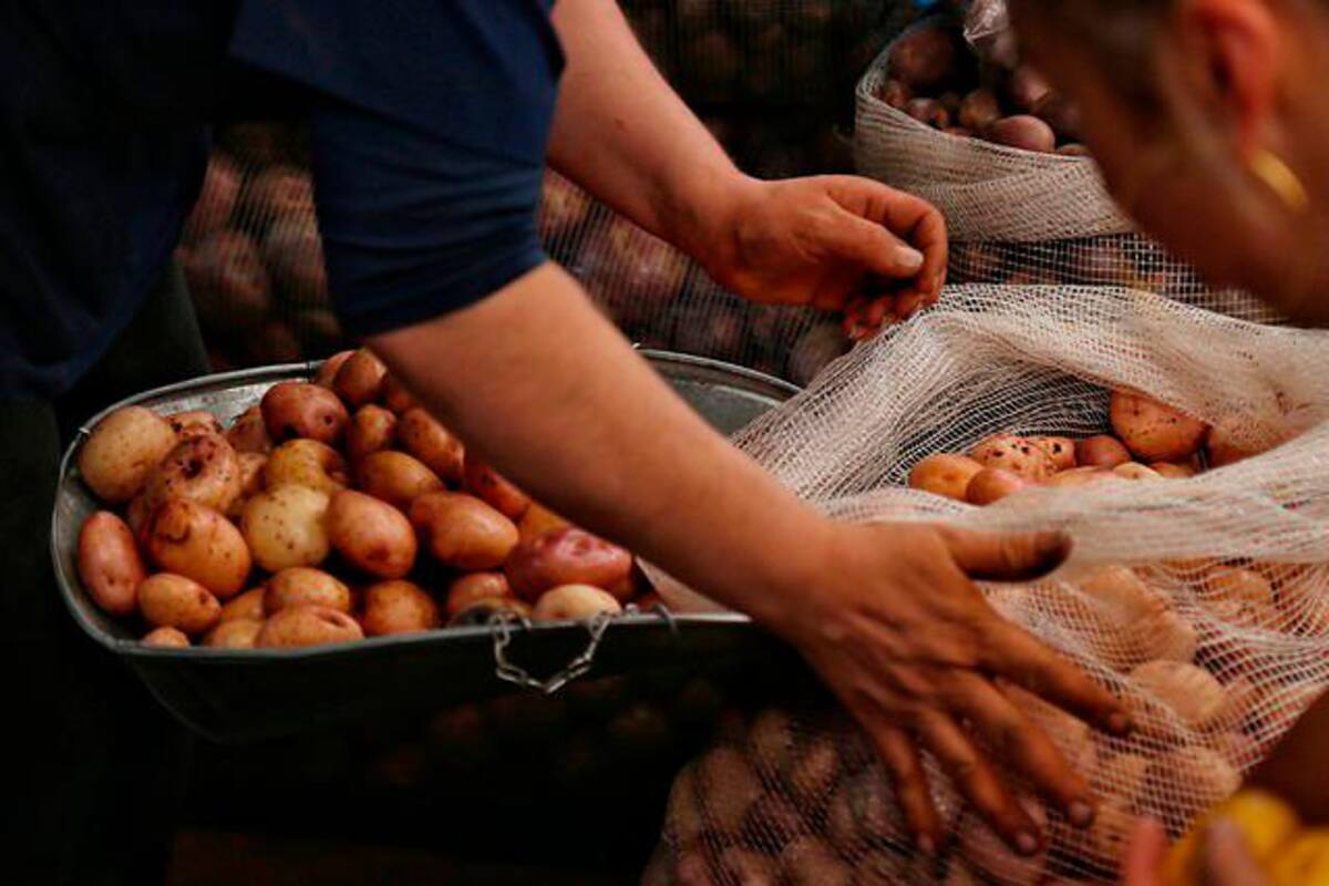 Lanzarán plataforma para que productores vendan sin intermediarios