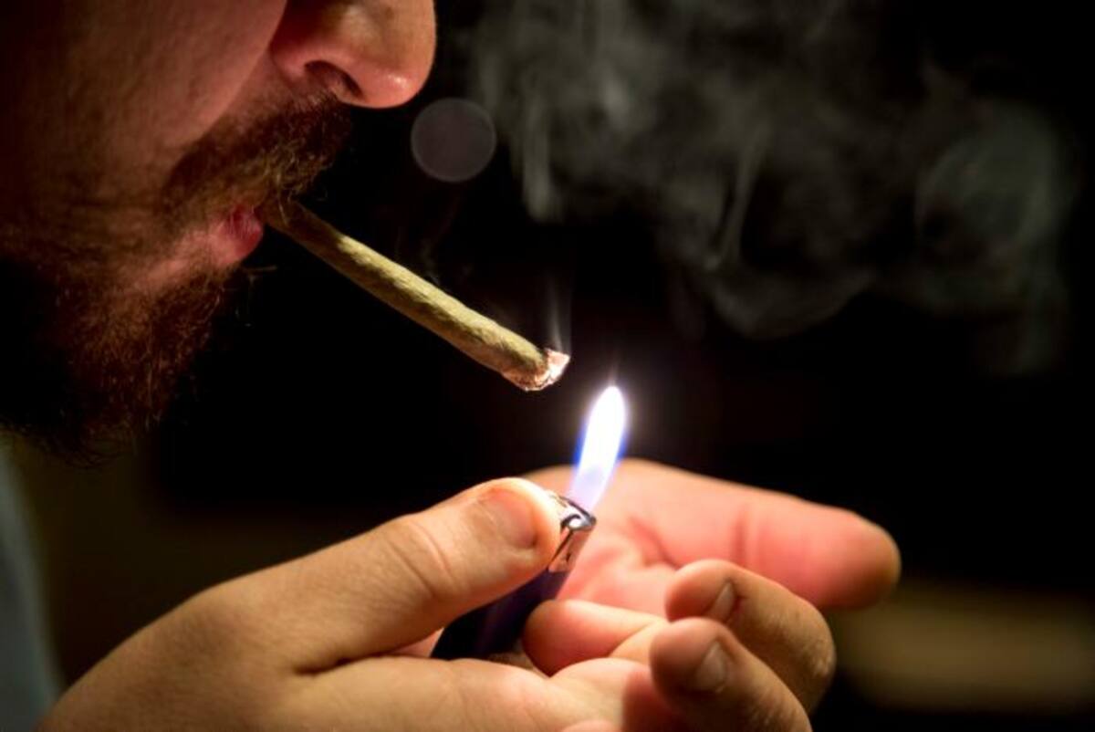 La intención del colectivo es detonar un debate en el Congreso para legalizar la hierba AP Eduardo Verdugo