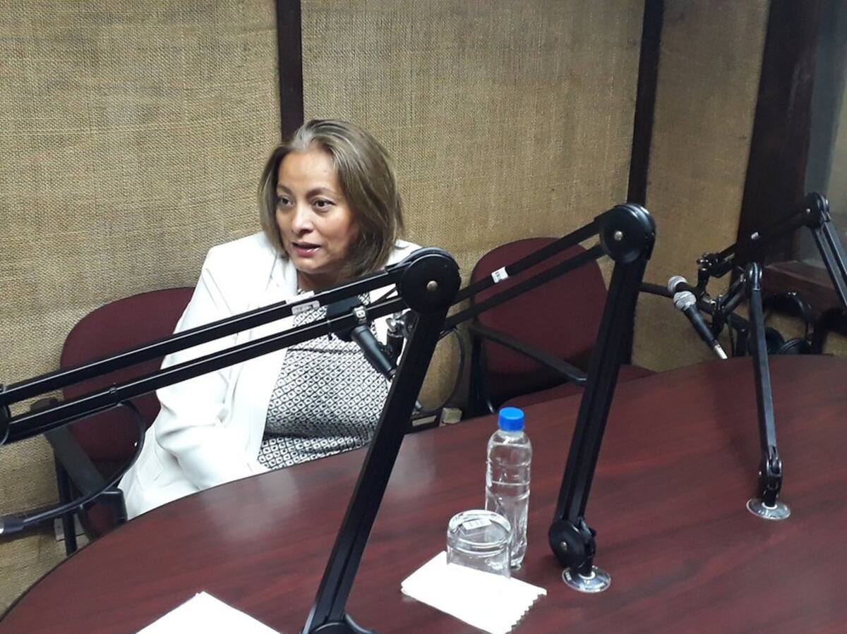 Deyanira Barrero, gerente General del ICA. // COLPRENSA
