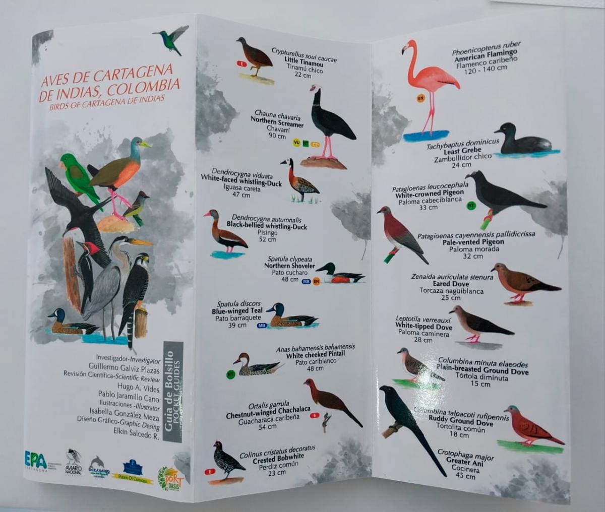 Así es la guía de aves de la ciudad.