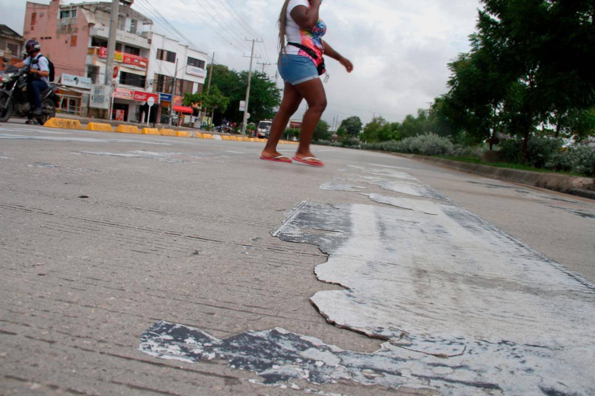 Preocupante: el riesgo de ser peatón en Cartagena con las cebras extintas