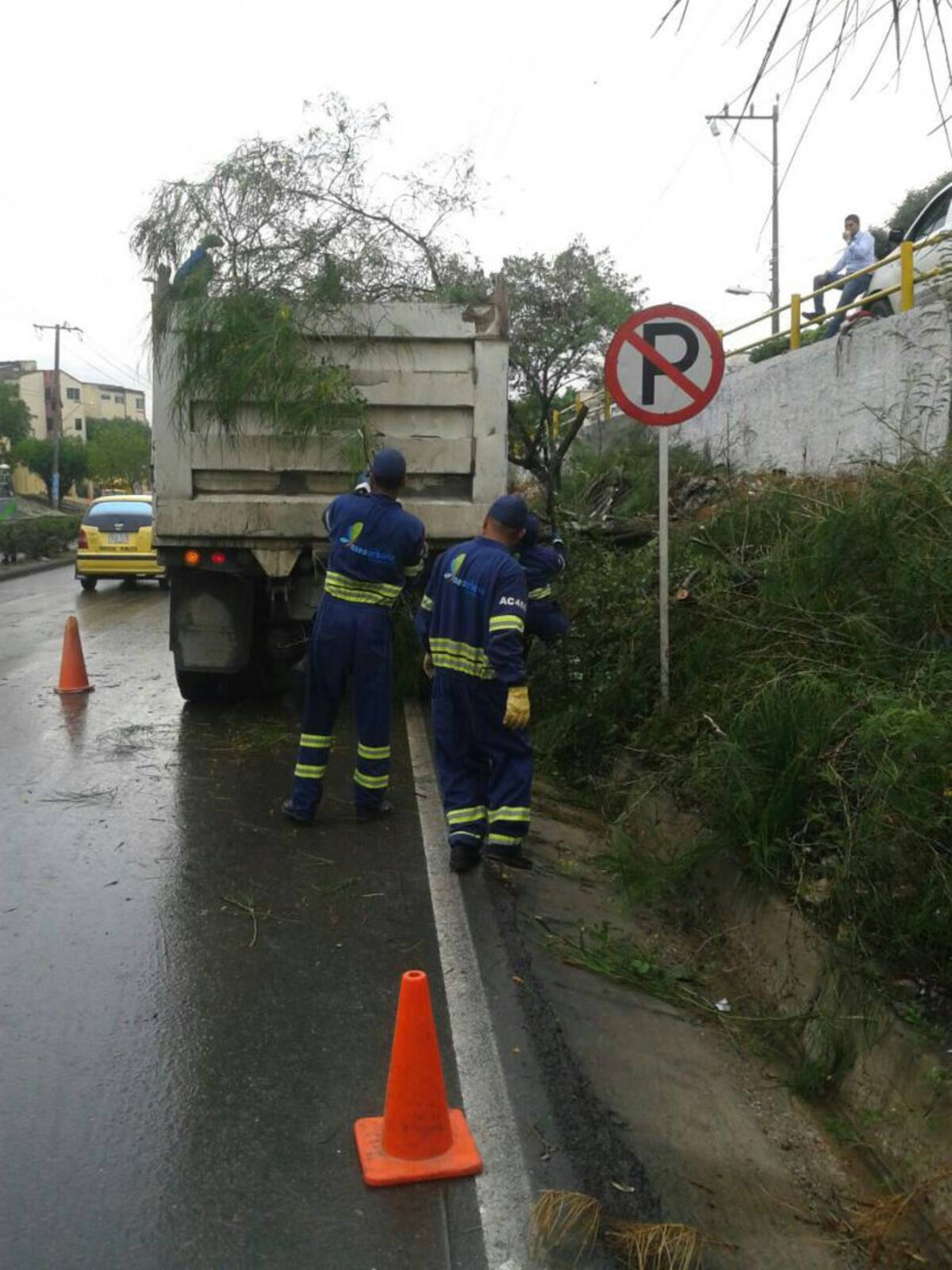 Trabajadores de Aseo Urbano de la Costa recogiendo las ramas de un árbol caído. COLPRENSA