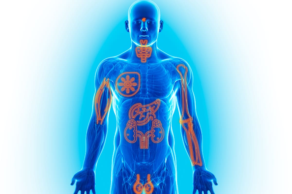 Congreso de endocrinología reunirá a más de 7.000 especialistas en Cartagena