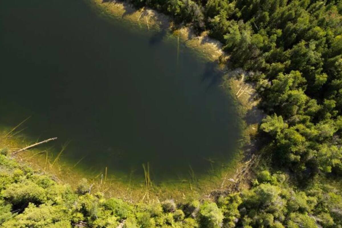 Antropoceno: ¿qué es y por qué dicen que será el fin de la humanidad?