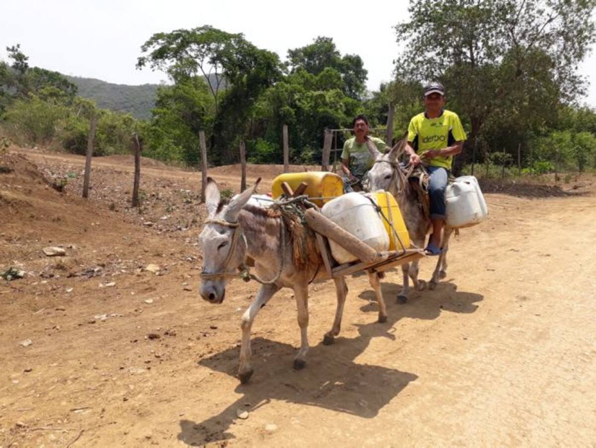 Los campesinos aseguran que los pozos de donde se abastecían hace unos meses atrás están completamente secos, y el poco líquido que queda se encuentra a más de ocho kilómetros. Lila Leyva Villareal