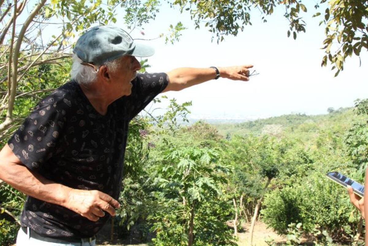Norman Echeverría, miembro de la JAC, explica que el impacto se evidencia en la vegetación de la zona y en las fuentes de agua que se han secado. Kailline Giraldo-El Universal