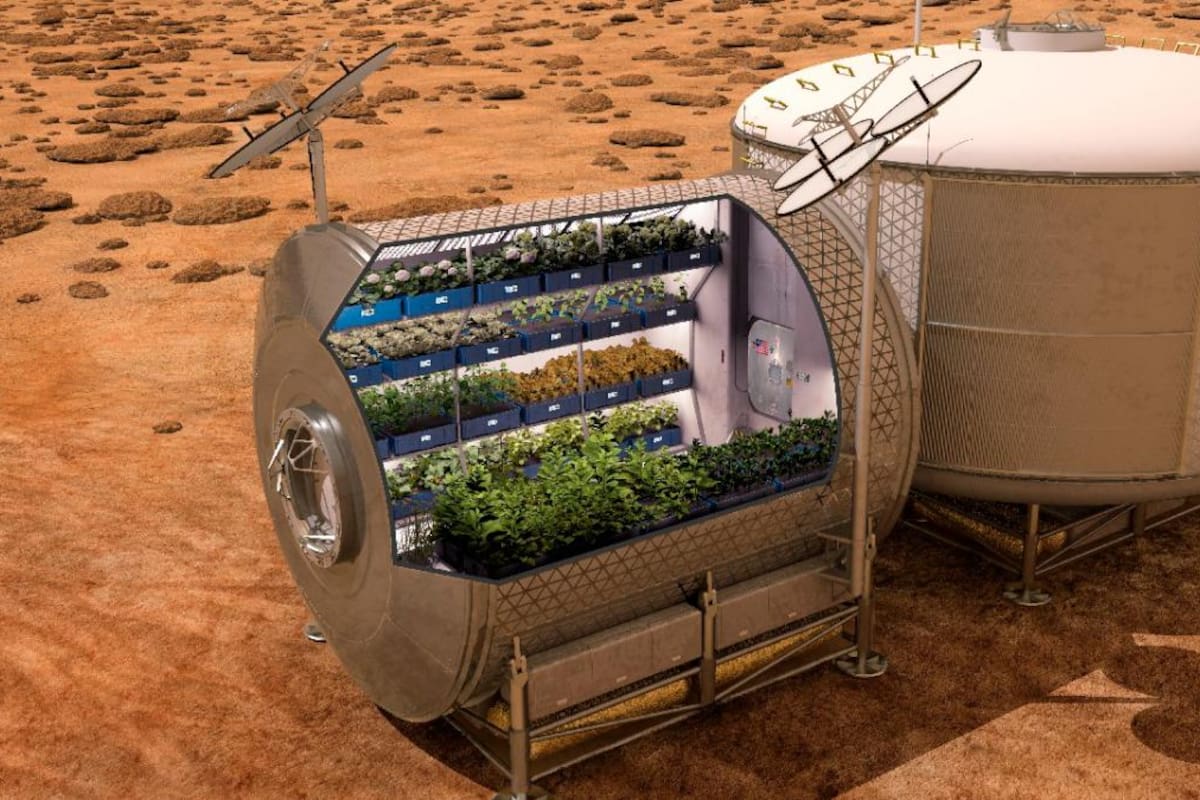 Lo que comerán los primeros humanos que colonicen Marte