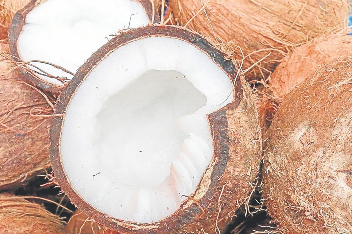 Colombia, a las ‘grandes ligas’ del mercado del coco