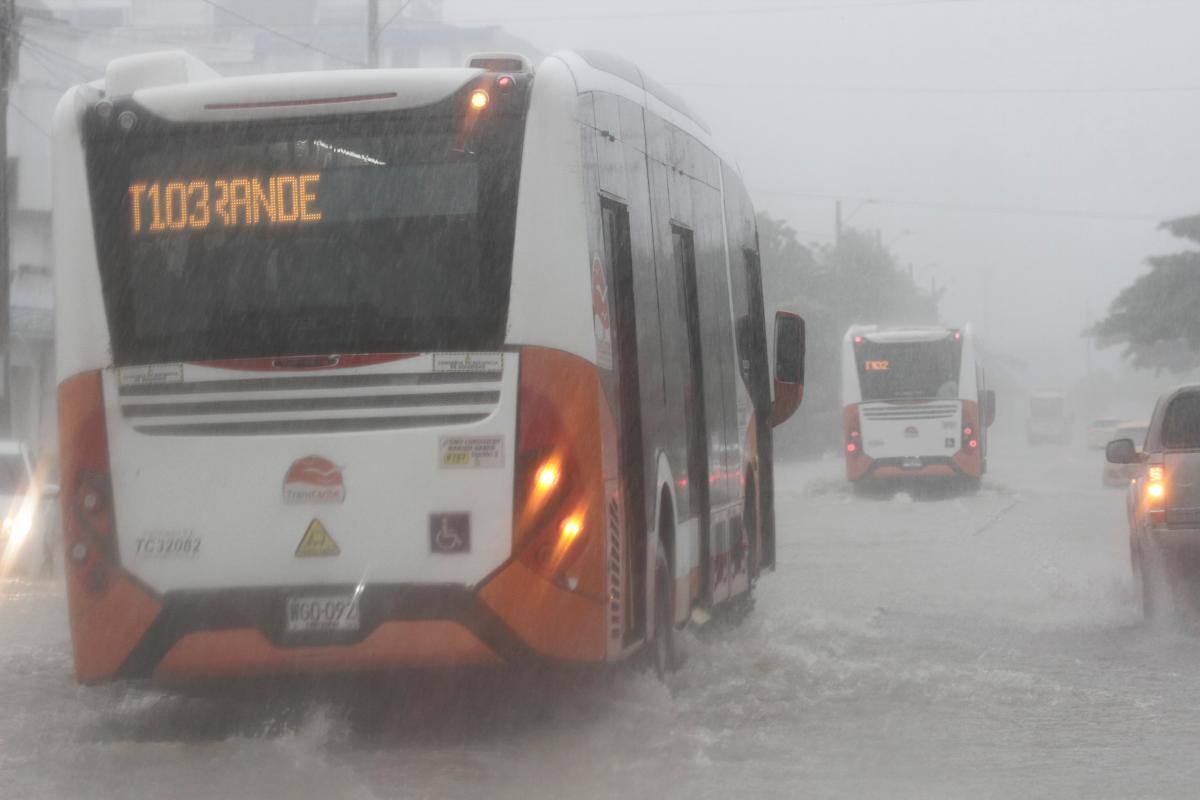 Transcaribe resultó afectado.