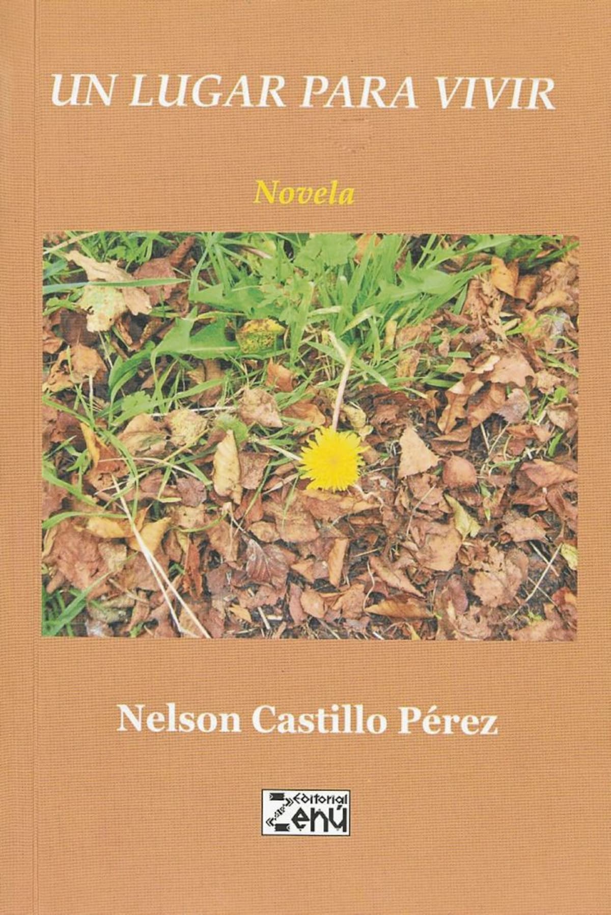 Un lugar para vivir. Nelson Castillo Pérez. Editorial Zenú. 219 páginas.