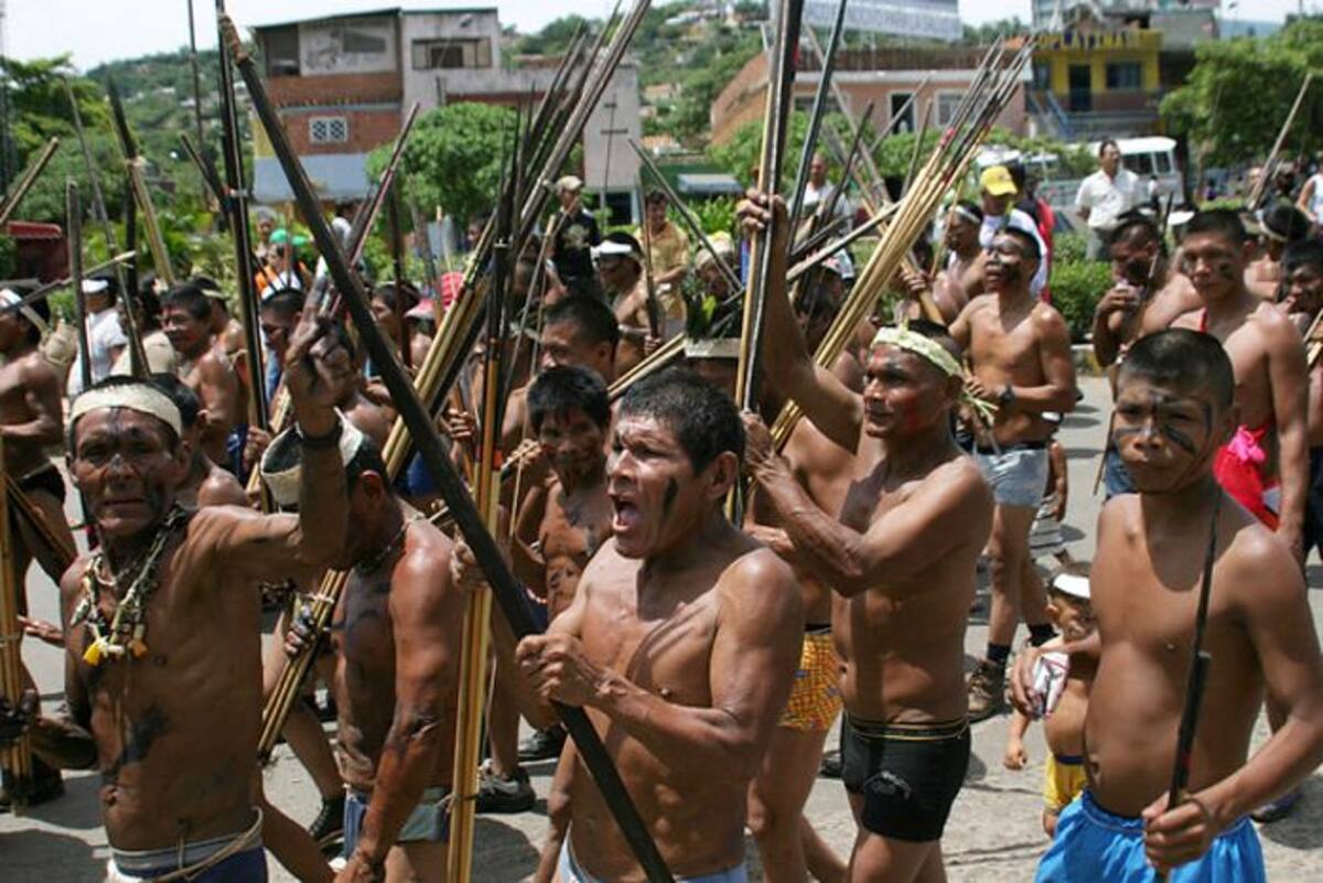 A pesar de que las cifras en Colombia dicen que el analfabetismo es solo de 8.4%, un 30% de la población indígena no registra ámbito educativo alguno y un 32.1% responde no saber leer ni escribir. Colprensa.