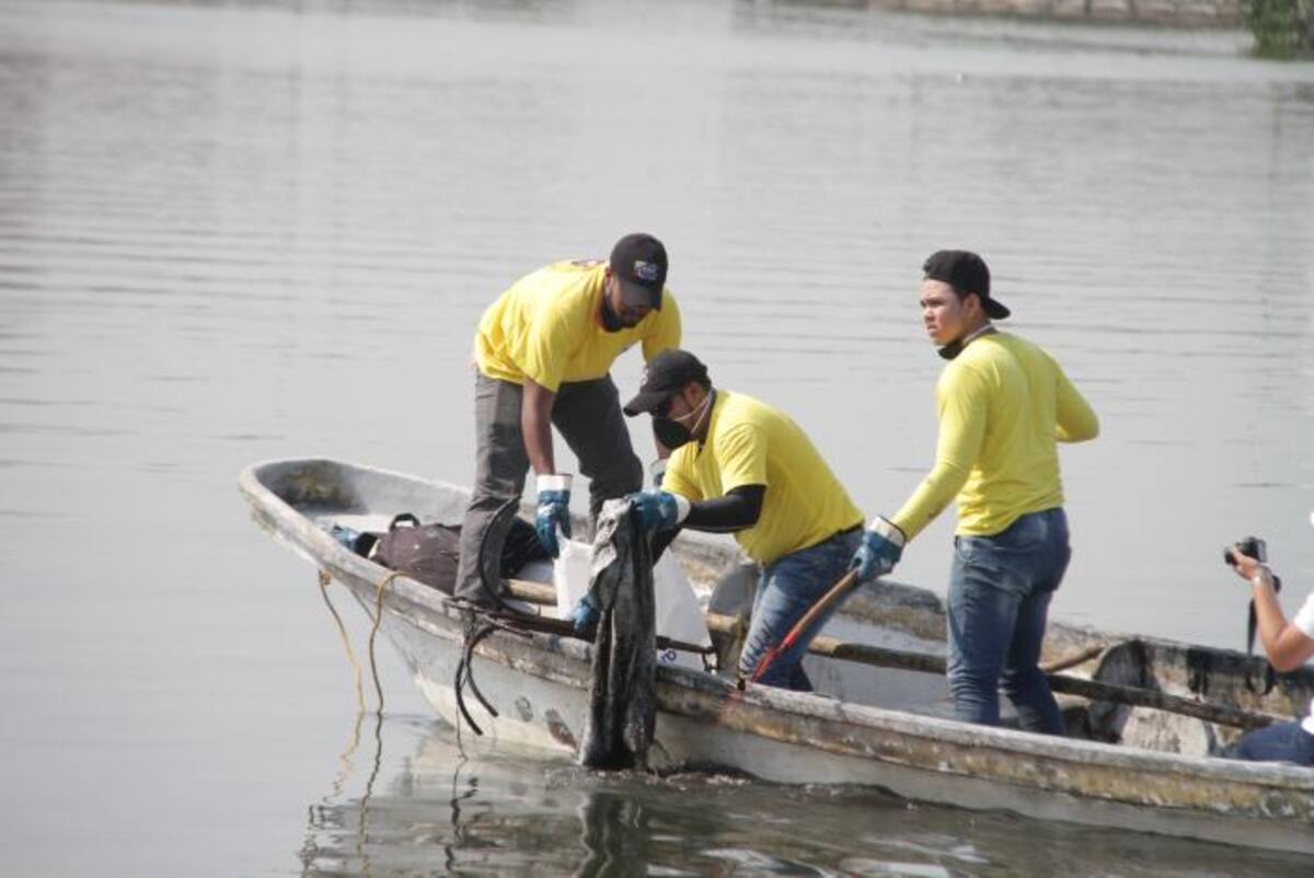 //Luis Eduardo Aparicio.