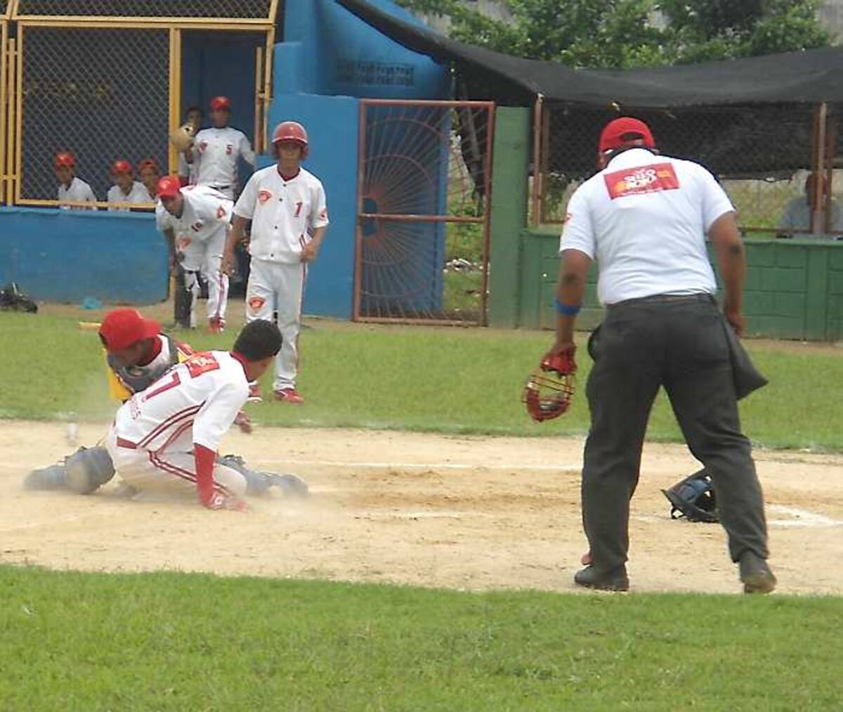 Hoy, se disputa la final de la Copa Café Sello Rojo de Béisbol Junior de Córdoba.