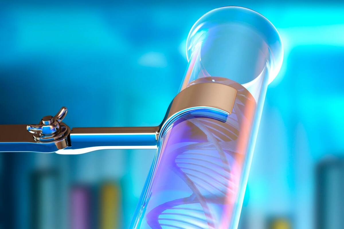 Hallazgo: gen clave en el desarrollo de cáncer linfático