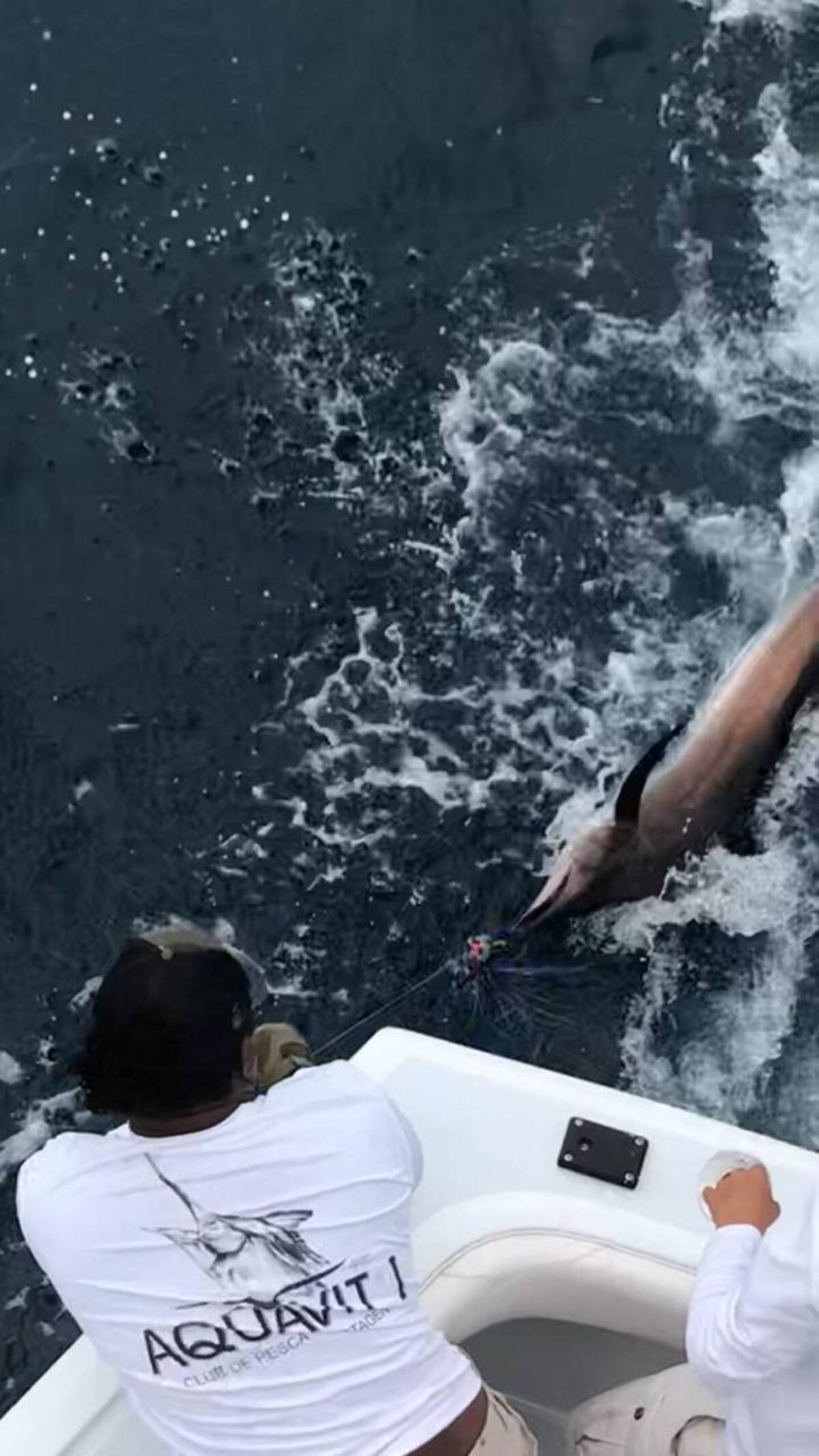 El release de vela de Víctor González. CORTESÍA