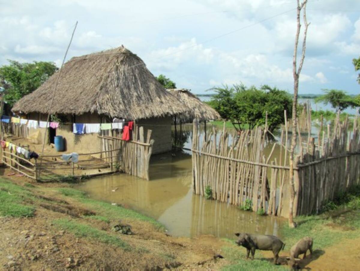 Muchas viviendas y parcelas están en estado ruinoso por los embates de los recientes aguaceros y anegaciones.