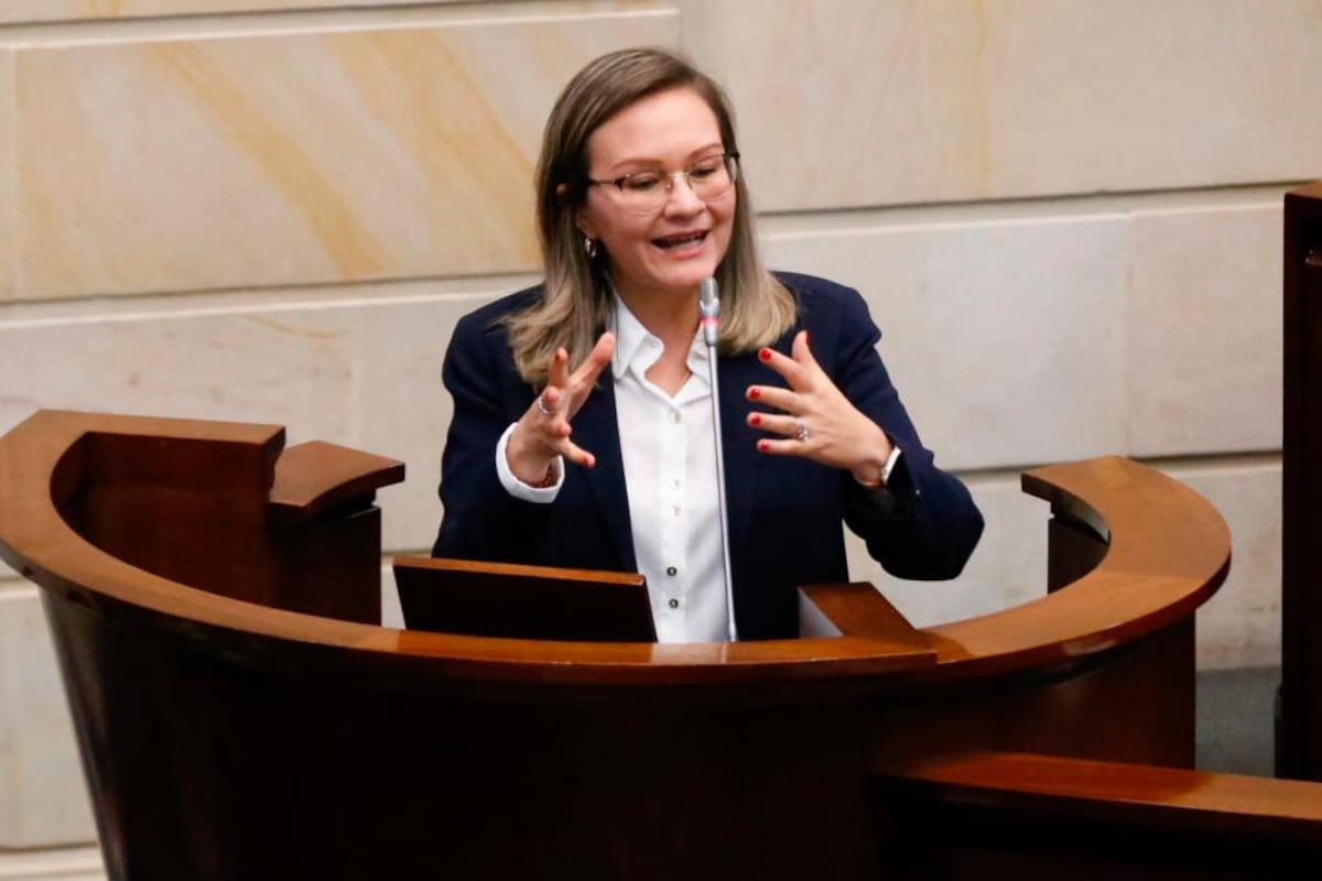 “Yo no me postulé, fue el presidente”: Rusinque sobre su candidatura a la SIC