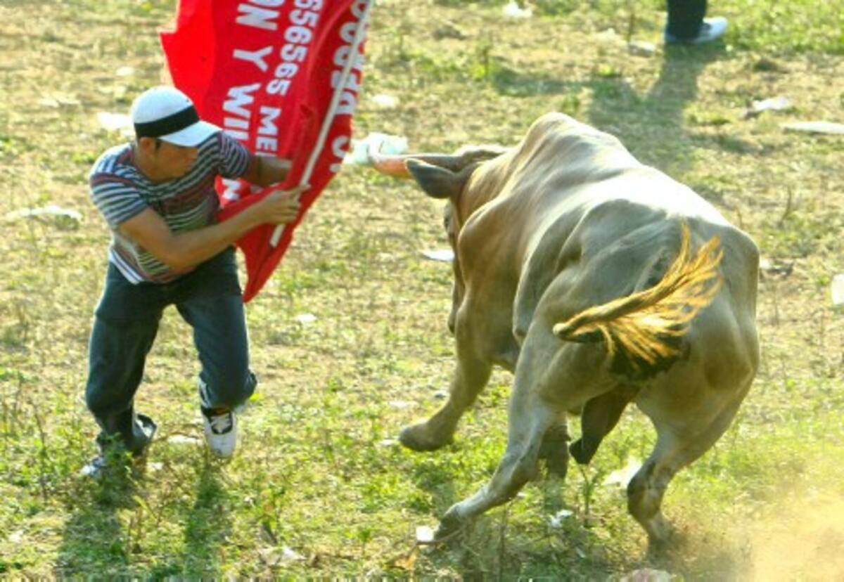 Damián Pérez Lugo, man-tero de sincelejo, que de-mostró temple en la prime-ra tarde de toros en Arjona.