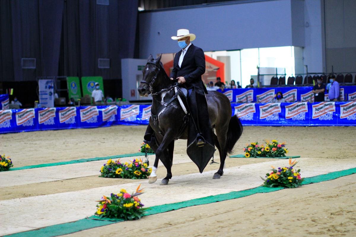 163 competencias equinas en calendario 2022