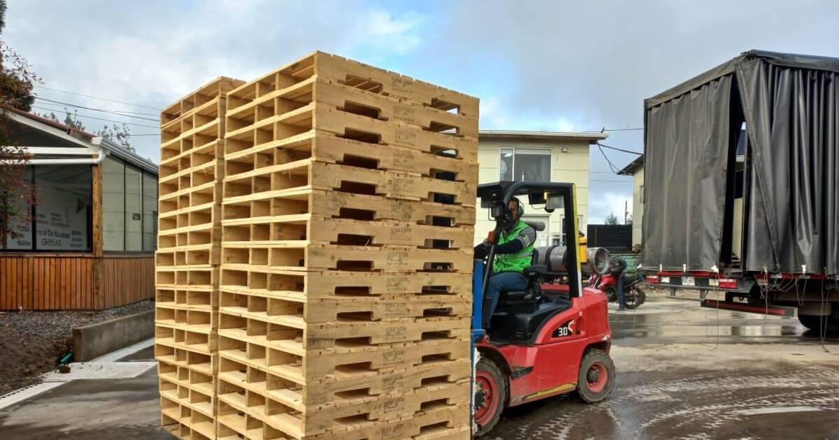 In Bolívar, Colombia's first automated pallet assembly line