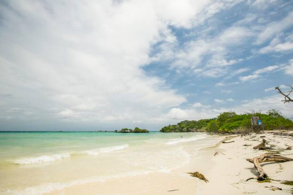 Procuraduría pone bajo lupa invasión de tierras en Islas del Rosario y Barú