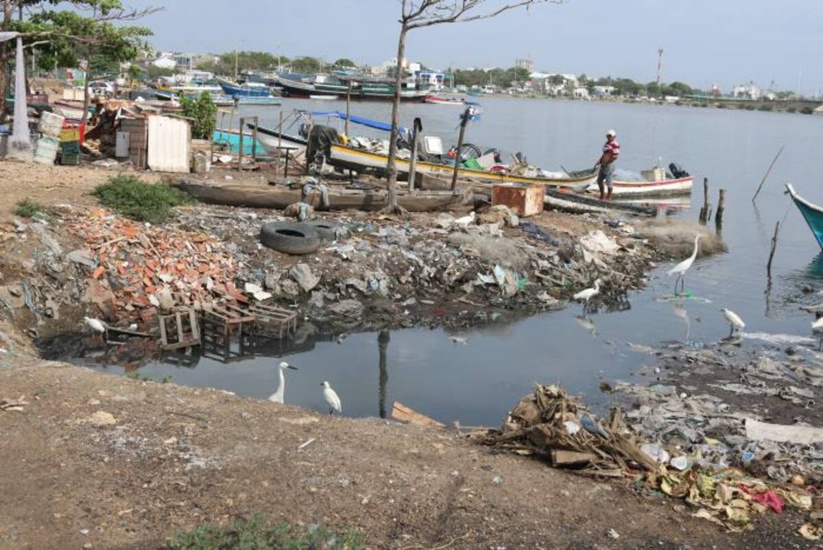 Orilla de la Ciénaga de Las Quintas, frente a Bazurto. El Universal