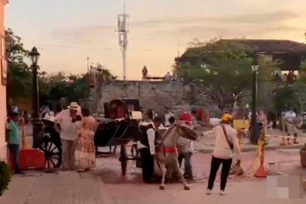 ¡Vuelve y juega! Caballo cochero se desploma en calle del Centro