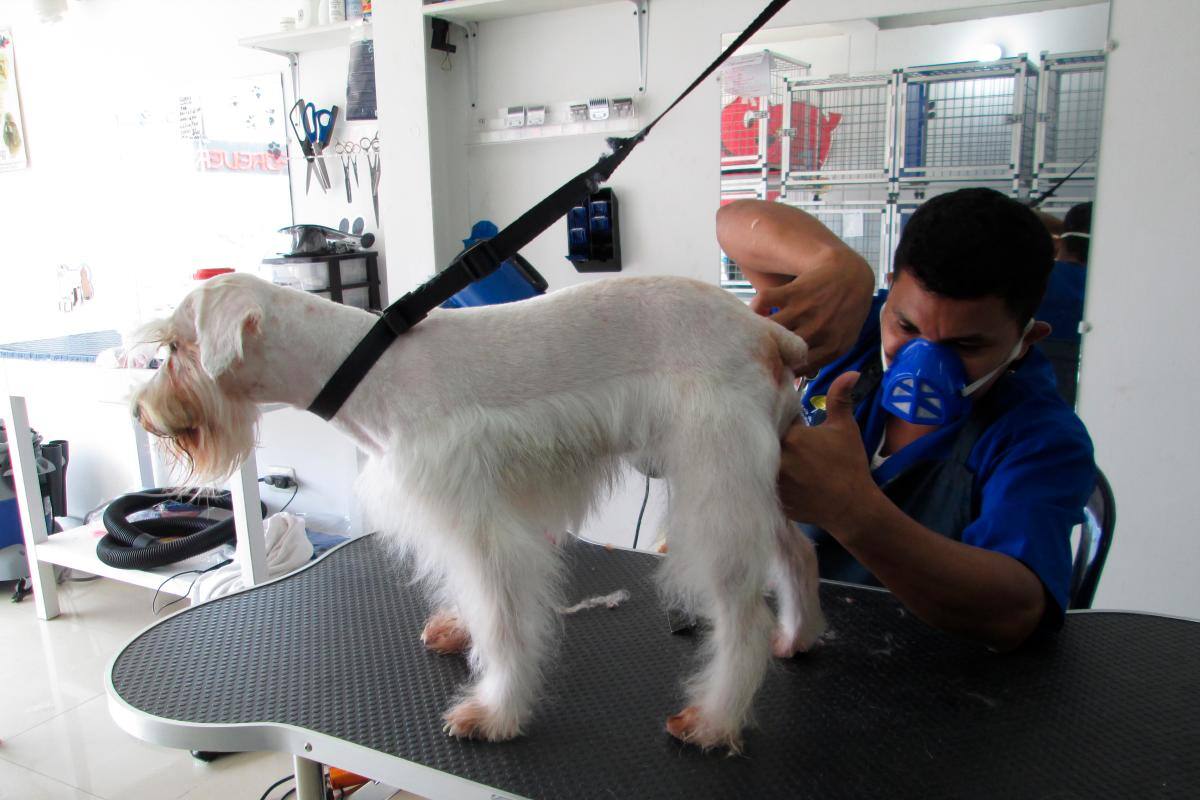 Este sábado habrá jornada de atención a mascotas en Magangué