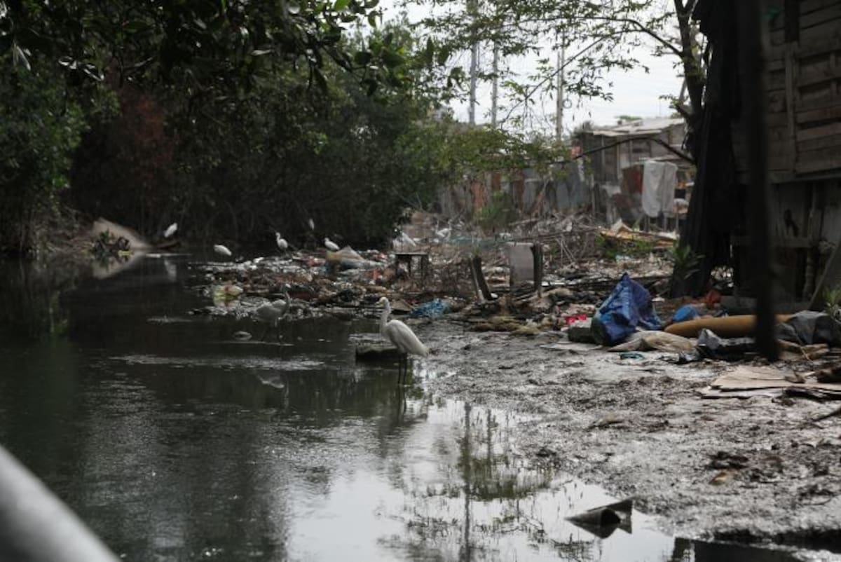 Este es el sector de La Unión antes de que los pescadores intervinieran este fin de semana. Óscar Díaz.