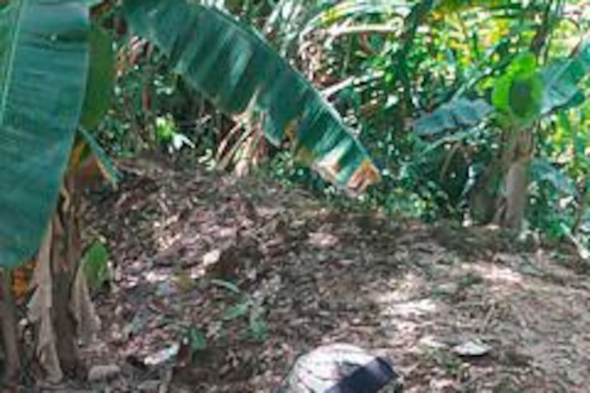 Hallan cohete utilizado en aviones de combate venezolano en Arauca