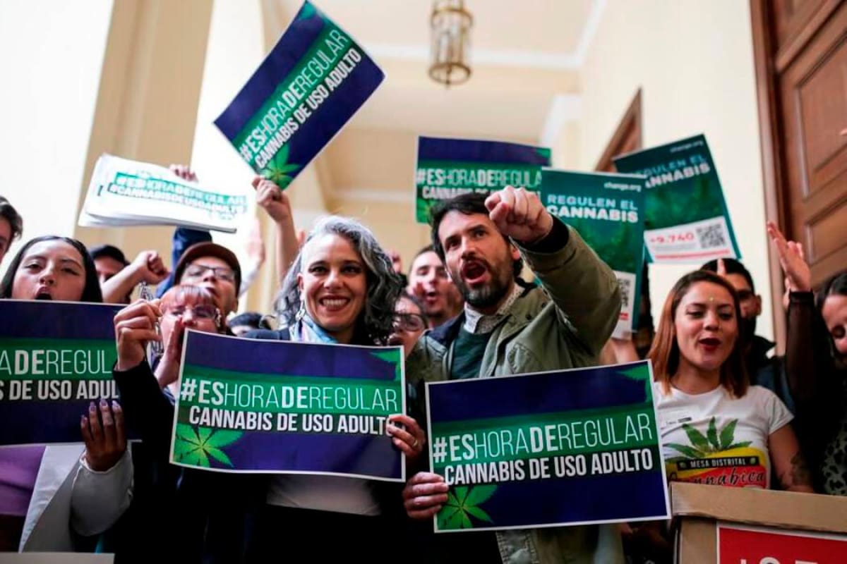 Hoy, última oportunidad para proyecto que regula el cannabis de uso adulto