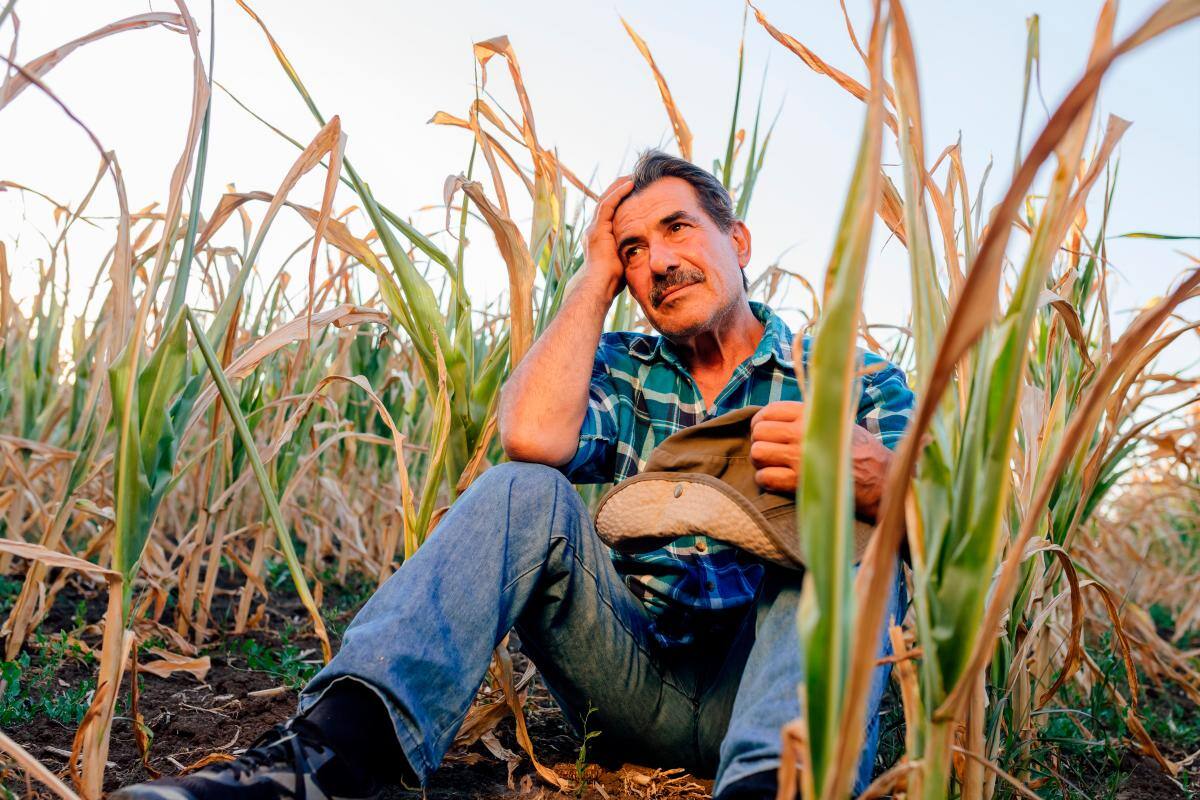 Tristeza y depresión en agricultores
