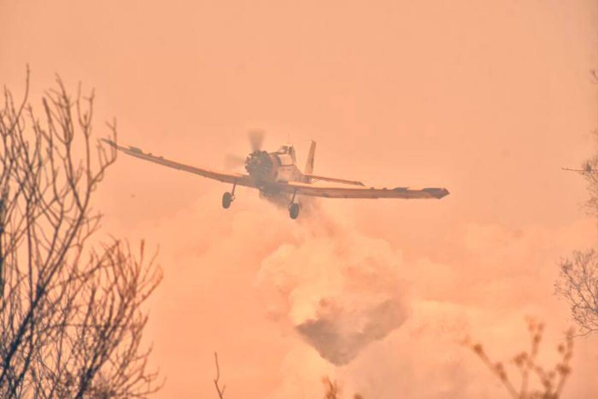 Las autoridades helenas señalan que la actual ola de incendios no tiene precedentes en su dimensión, que vinculan a la crisis climática. // EFE
