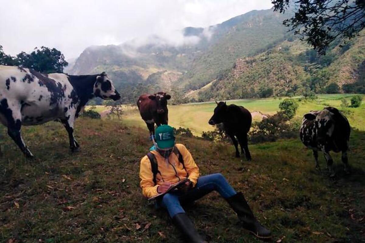 Tierras de Rodríguez Gacha serán adjudicadas a 85 campesinos