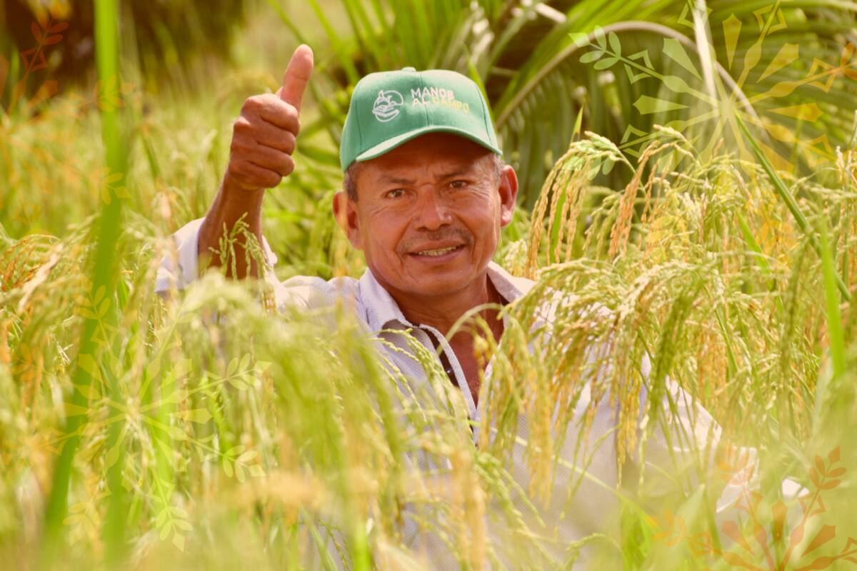 Así es el impacto de la Fundación Promigas en Colombia y Perú
