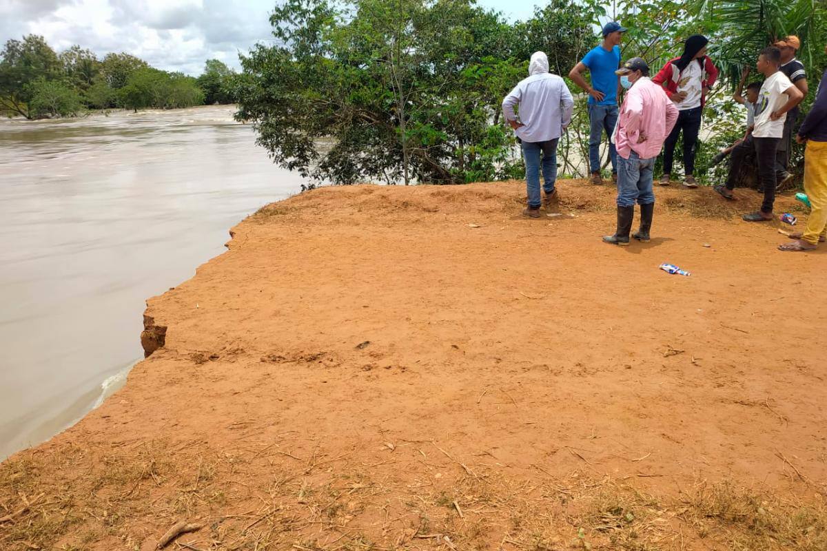 Inundaciones acaban con cultivos de arroz de La Mojana