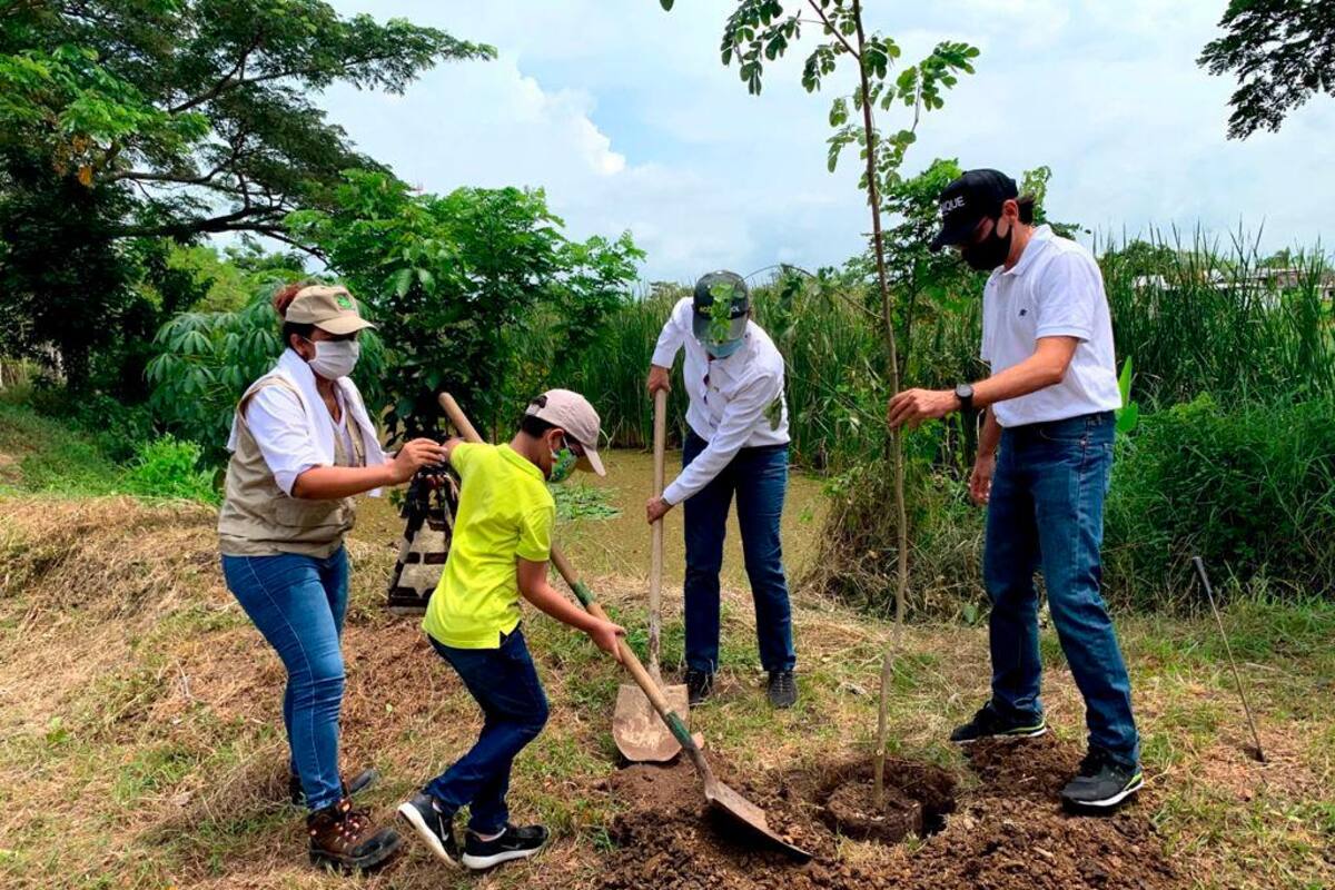 En Bolívar darán beneficios a aquellos que conserven la naturaleza