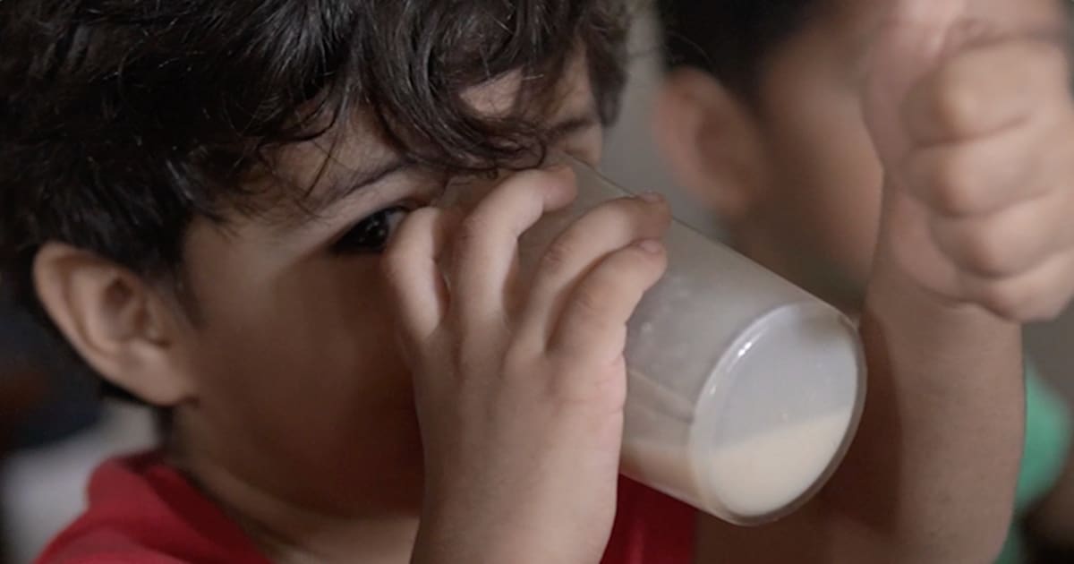 Barranquilla's New Sustainable Nutrition Program