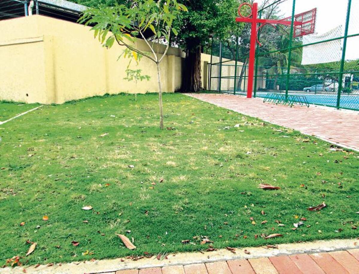 Esta zona verde del Parque Román está siendo usada por algunos vecinos como letrina para sus mascotas caninas, y el rincón al fondo, es el orinal ocasional de cualquier desadaptado. PEDRO TORRES, GENTE BAHÍA – EL UNIVERSAL