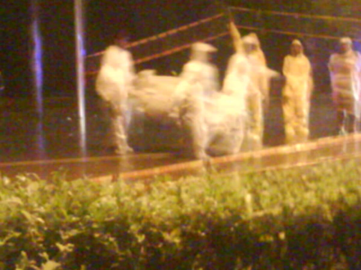 En medio de un aguacero se hizo el levantamiento del cadáver del hombre arrollado por una camioneta. CORTESIA