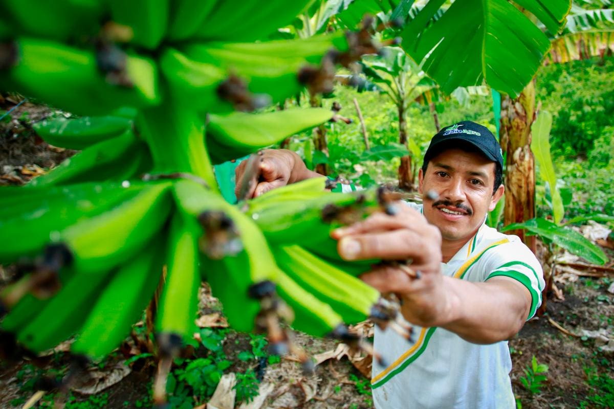 Risaralda, un departamento que impulsa al Eje Cafetero