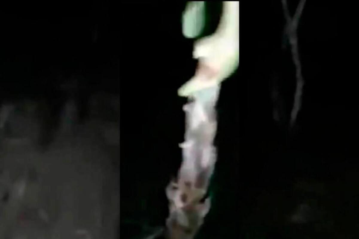 Video: se le apareció ‘La llorona’ a campesino en el Putumayo