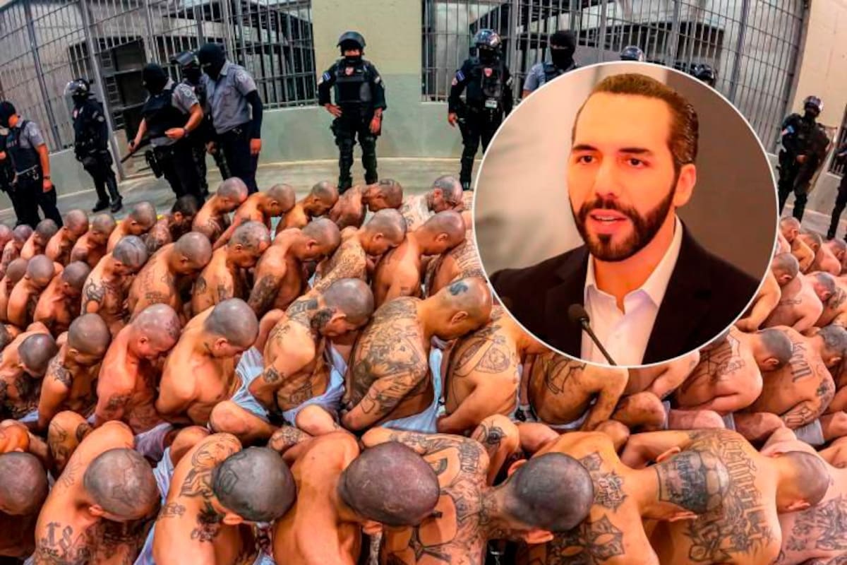 Denuncian que cada cuatro días muere una persona en cárceles de El Salvador