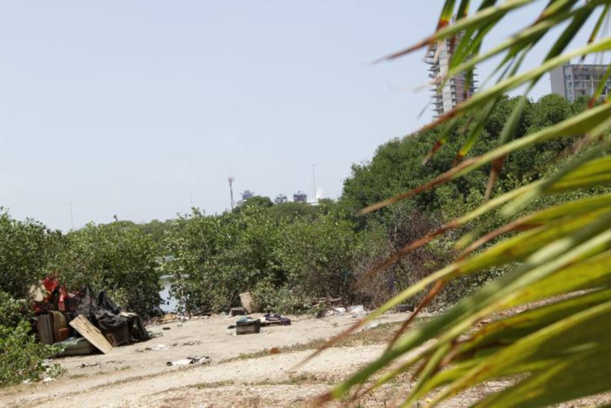 ARCHIVO EL UNIVERSAL