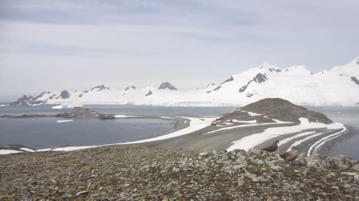 La Antártica. Cortesía.